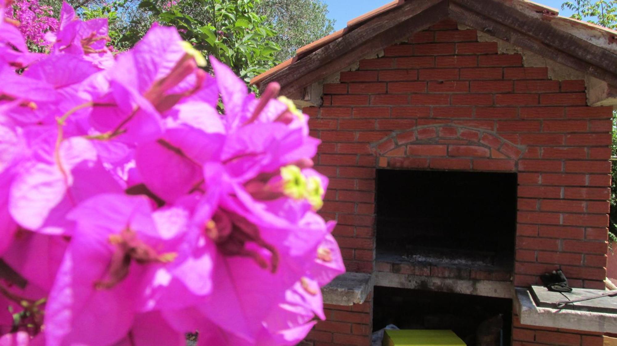 Apartmani Carmen Bibinje Oda fotoğraf
